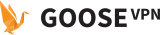 Goose VPN Review 2025