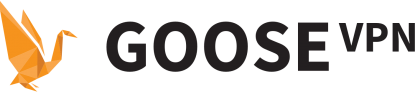 Goose VPN Review 2025