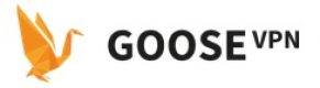 Goose VPN Coupons